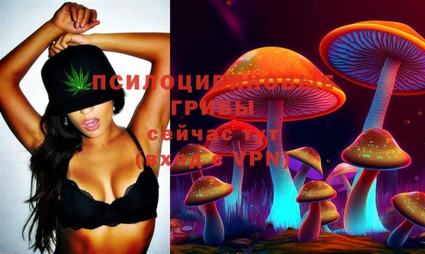 кокаин перу Богородицк