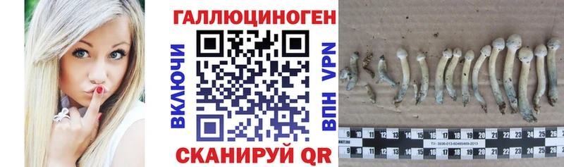 Псилоцибиновые грибы GOLDEN TEACHER  Михайловка 